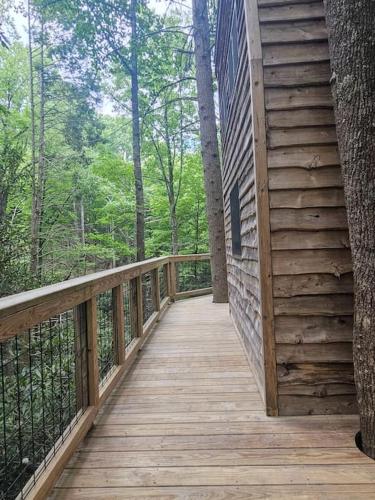 The Hidden Hemlock Tree House in Butler, USA