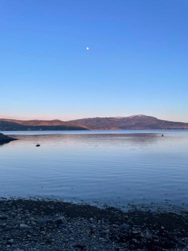 Изглед, Vågen Fjordbuer - Sagbua (Vagen Fjordbuer - Sagbua) in Asenfjord