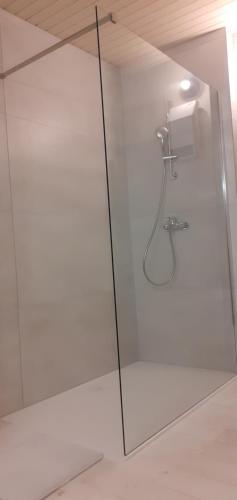 Lovely Old City-Center Apartment, Liubliana (foto 9)
