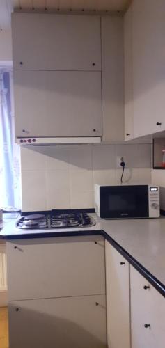Lovely Old City-Center Apartment, Liubliana (foto 7)