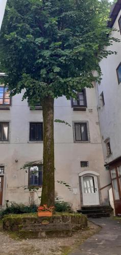 Lovely Old City-Center Apartment, Liubliana (foto 2)