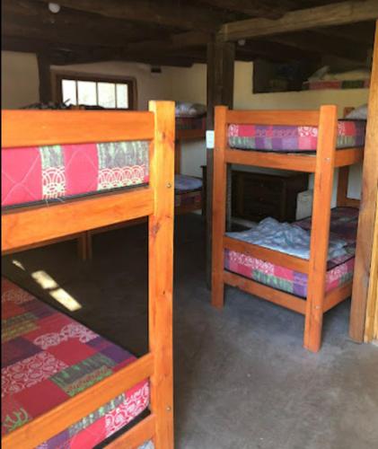 8 bunk beds