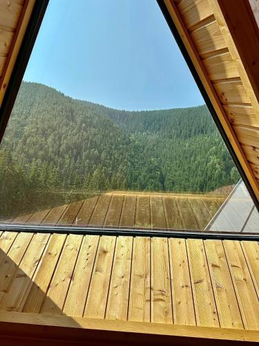 Domul Poarta Retezat - Accommodation - Rausor