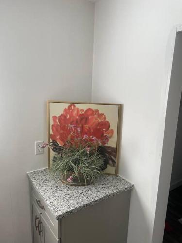 Old farmhouse with Hot tub in the Finger Lakes in 霍斯黑兹