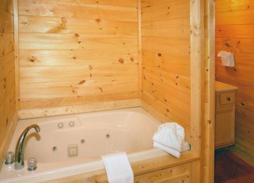 Honey Bear Hideaway - image 6