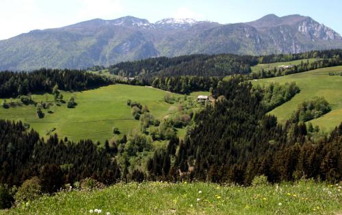 Farmstay Hiša Pečovnik - image 3