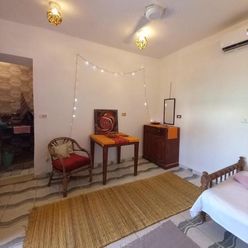 Second line studio, Dahab (zdjęcie 8)