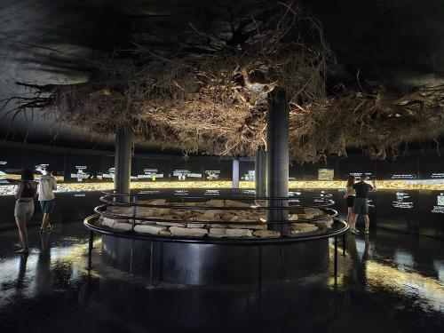 Lyžařské ubytování Horní Maršov - by Alka, 1x free parking (Lyzarske ubytovani Horni Marsov - by Alka, 1x free parking) in 賀爾尼馬爾索夫