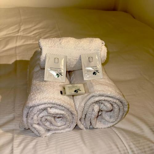 Lyon 3 - T1 Soignat - HostisY