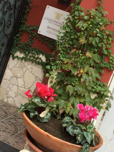 Giardino Eden B&B – Melito di Napoli, CO