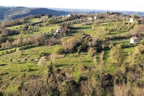 Celeste Erard Guest House