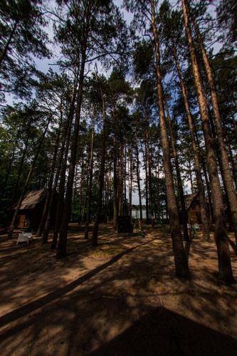 Płaczewo - image 10