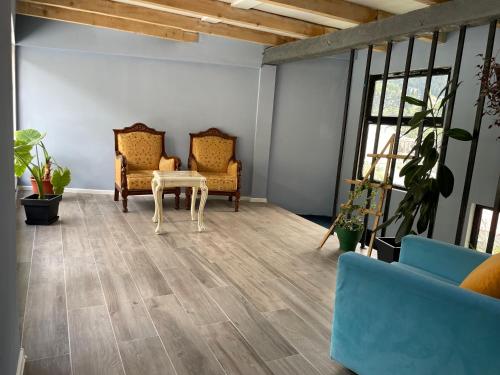 Παροχές, Hotel Ailama Mestia in Μέστια