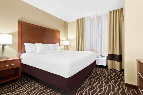 Comfort Suites Tampa Airport North in Tampa, USA