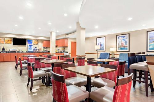 Comfort Suites Tampa Airport North - image 12