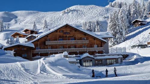 Chalet Montriond - Bike & Ski, Les Crosets