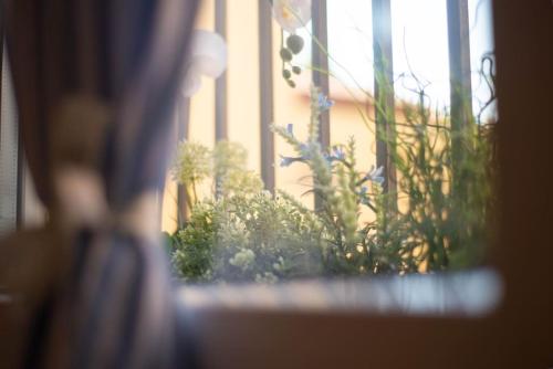 DreamInBo - Centro storico, comfort e relax, Boloňa (fotografie 7)