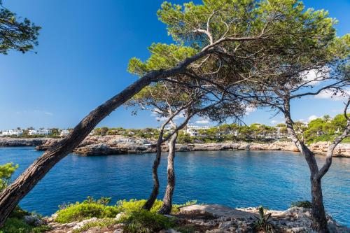 Inturotel Cala Azul - image 4