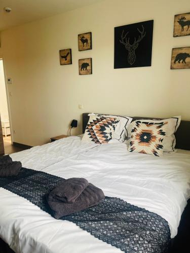 Equus B&B, Bredene (zdjęcie 8)
