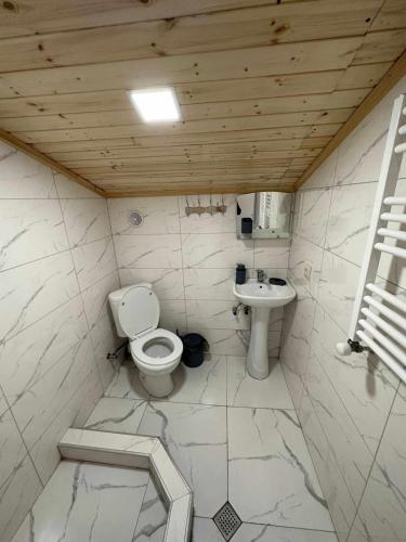 holiday bakuriani villa with 5 bedrooms - Tap to explore photos
