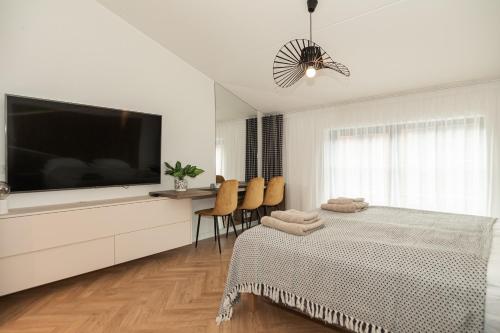 Uus Volta, Tallinn