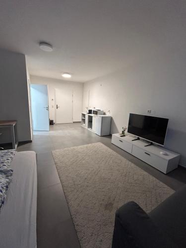 Neue Studio Wohnung in Walldorf in Walldorf
