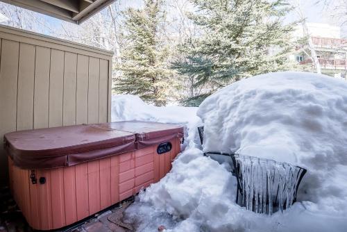 Andora Villa on Trail Creek walk to town - image 6