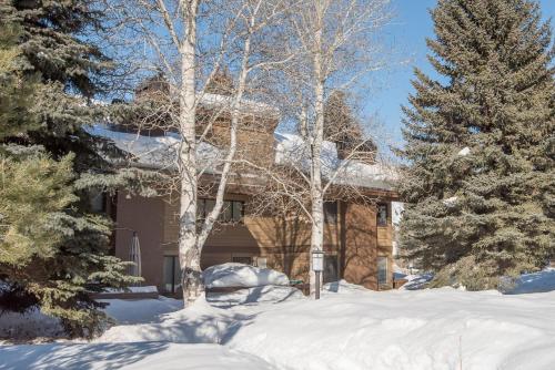 Dollar Meadows Condo with access to Sun Valley pool hot tub tennis and golf - image 11
