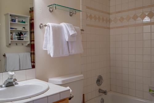 Holiday home near Gallery DeNovo in Ketchum - image 10