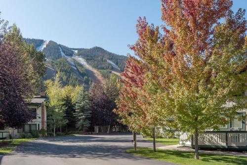 Prospector Condominiums walk to lift - image 14