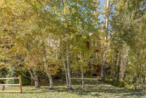 Spacious Townhome - Walk to Ski Lifts and Downtown Ketchum - image 23