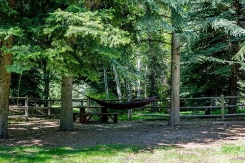 Northwood Home - New Listing - Luxury Home With Room for the Family - image 7