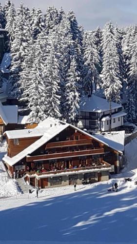 Pansion Vlašić Ski - Accommodation - Šišava