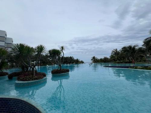 The Area Beach in Cam Ranh Resort - 수영장