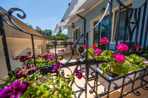 Hotel Lazur - image 11