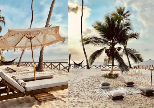 Beautiful Luxury Beachfront Hosue