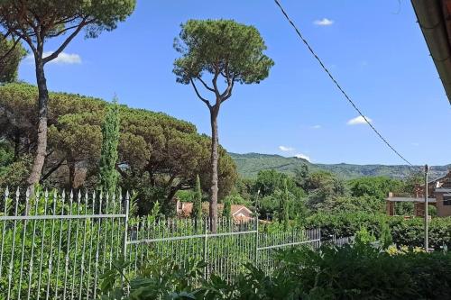 Alrededores, Villa Tusculum - Duplex apartment in Grottaferrata