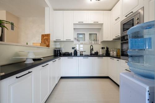 Dapur, Luxury Villa Boričić (Luxury Villa Boricic) in Krimovica