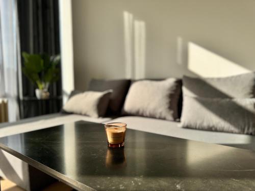 LUYS Apartment, Brussels (photo 3)