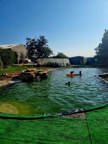 La Favière Enchantée - le gîte gîte à louer Beaumotte-lès-Pin