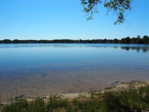 A Shorts Walk - Lakefront W Spa & Kayaks! in Elk Rapids, USA