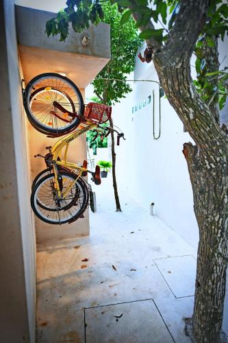Luxury 5-br Oasis Golf, Private Pool, Beach! in Akumal, Mexico