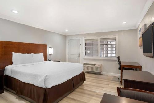 Best Western Inn in Pine