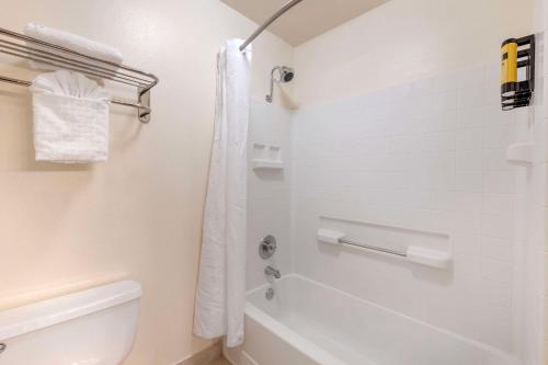 Best Western Plus Orchid Hotel & Suites - image 10
