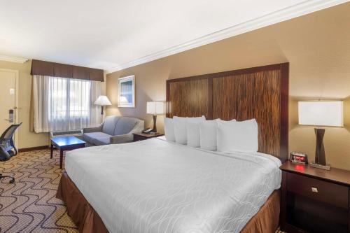 Best Western Plus Orchid Hotel & Suites - image 9