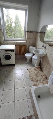 Adam room piwnica, Breslavia (foto 8)
