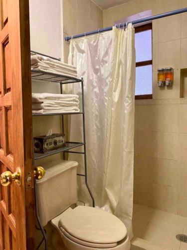 4 BD Colonial in Centro Near the Parish-7 Min Walk in San Miguel de Allende, Mexico