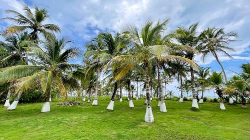 Cabaña Villa Palmaral (Cabana Villa Palmaral) in Moñitos