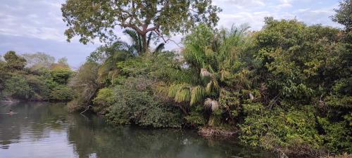 Cabañas Campo Verde (Cabanas Campo Verde) in Robore