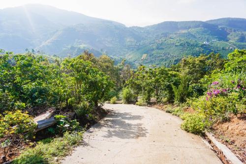 Farm co chu Tuan Ha in Me Linh